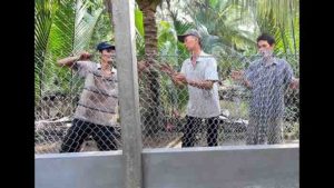 Làm hàng rào bằng lưới b40